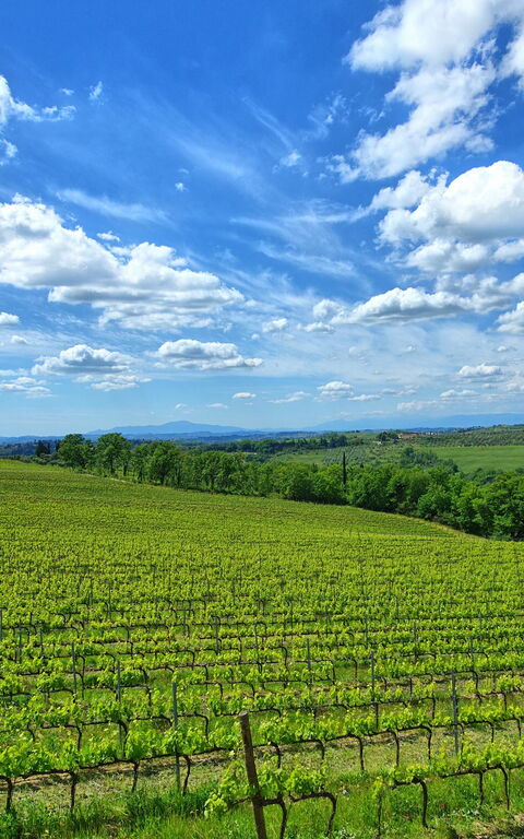 Maggiano: Scenic View