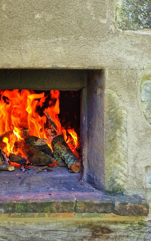Casale Di Cozzile: Garden