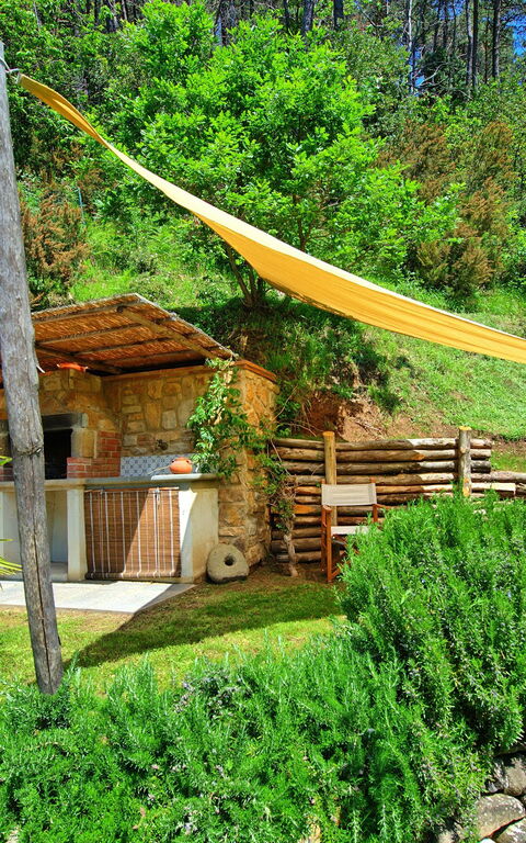 Casale Di Cozzile: Garden