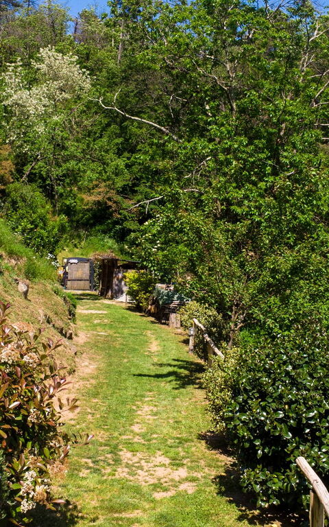 Casale Di Cozzile: Outdoor