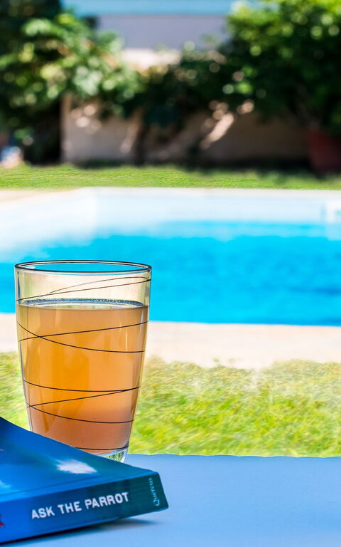 Beachfront Villa Rania: Garden, Pool