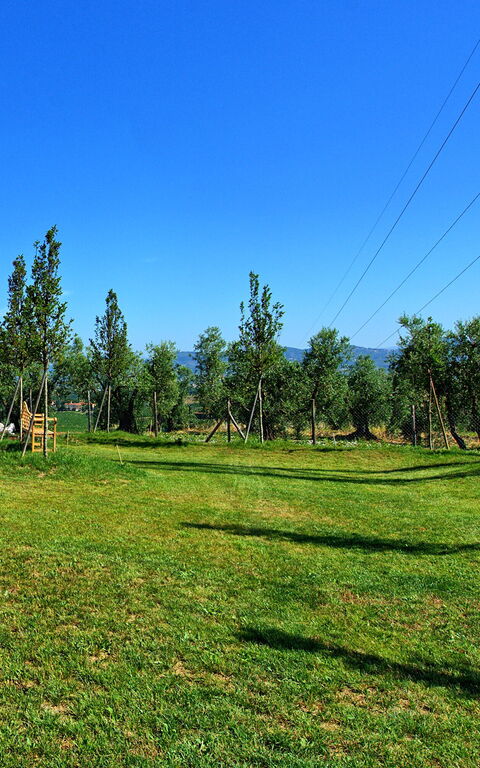 Il Sole Di Vino: Garden, Scenic View