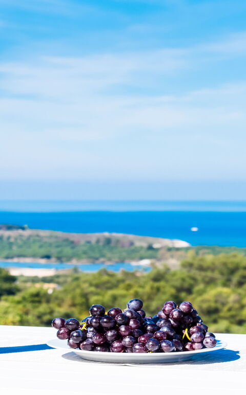 Villa Athena: Scenic View