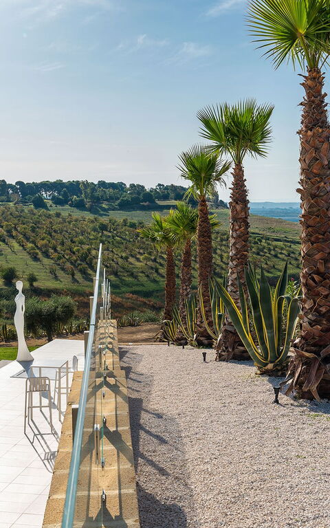 Villa Camemi: Garden, Outdoor, Summer