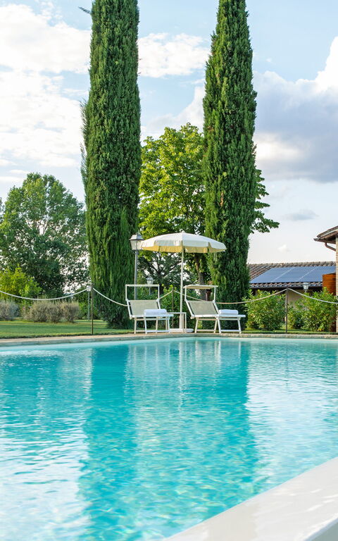 Villa Apollinare: Pool