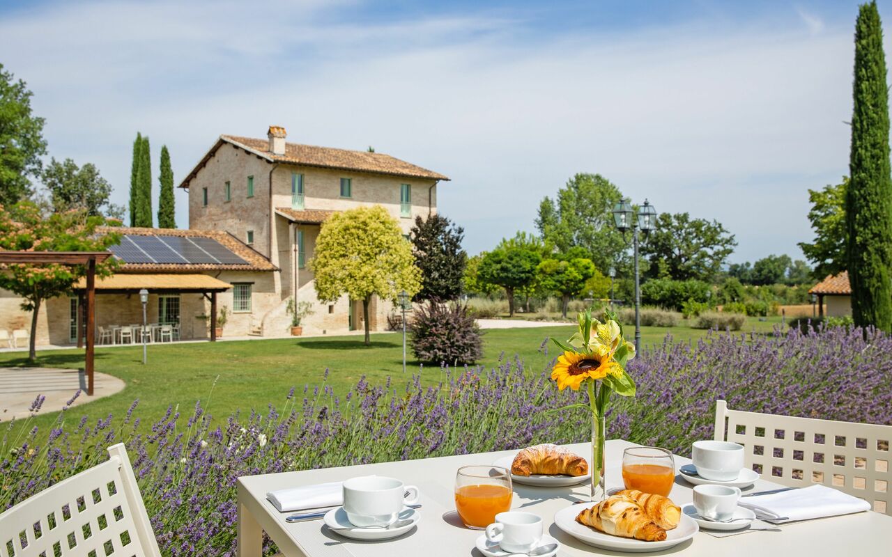 Villa Apollinare: Garden, Outdoor