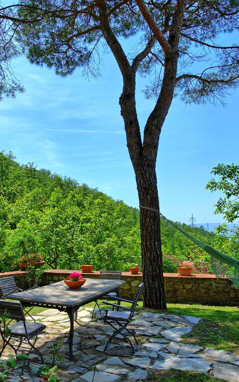 Villa Ancora: Outdoor