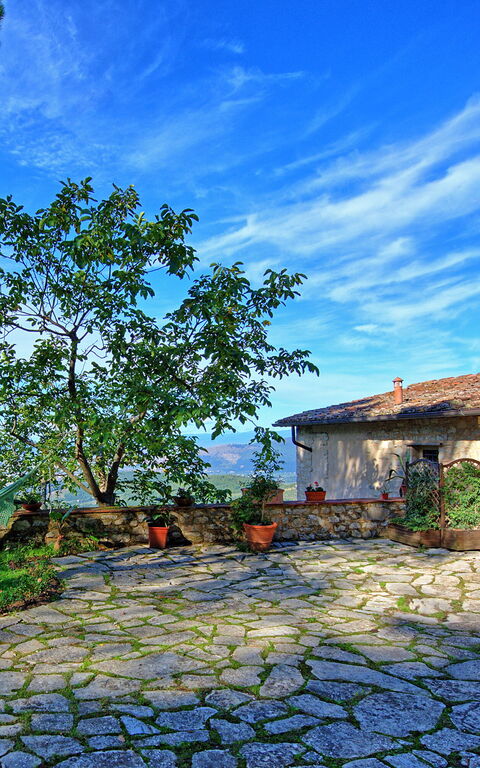 Villa Ancora: Garden, Outdoor