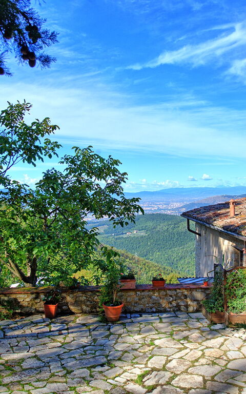 Villa Ancora: Garden, Outdoor