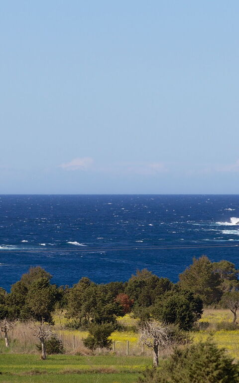 Cala Conta Dream: Garden, Outdoor, Scenic View