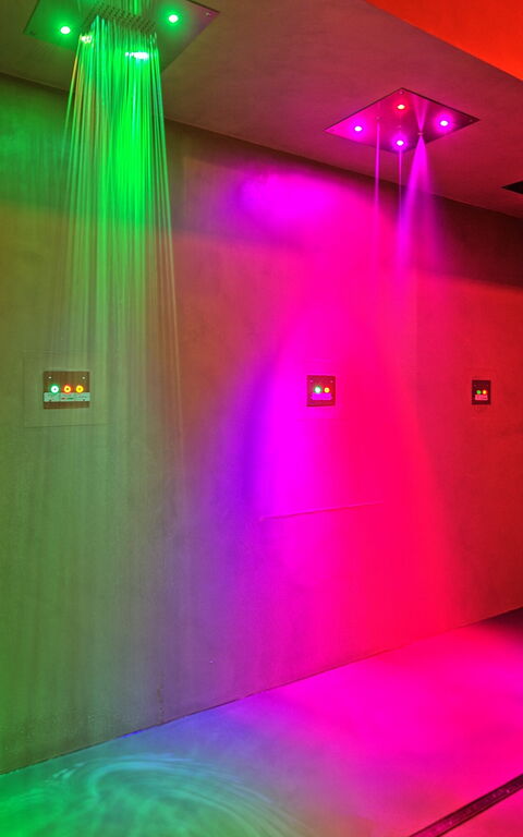 Villa Le Buche: Wellness