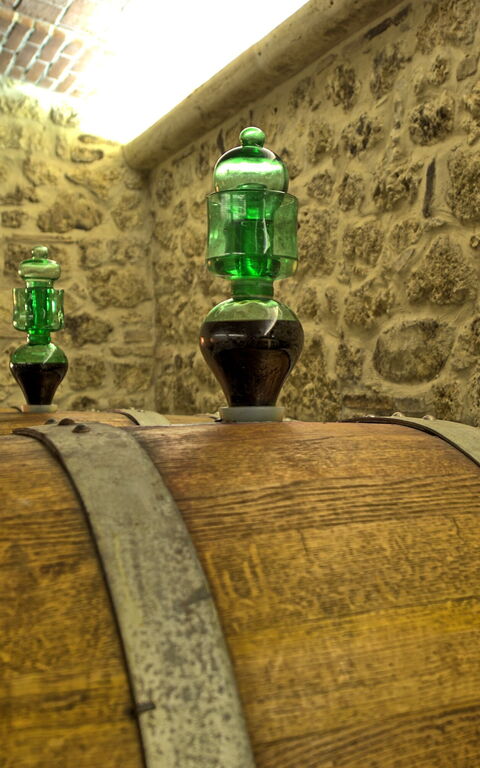 Villa Le Buche: Activities, Amenities