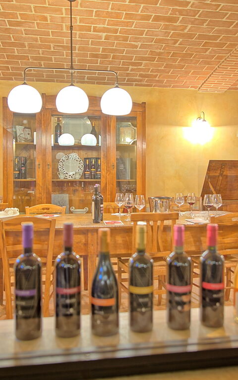 Villa Le Buche: Activities