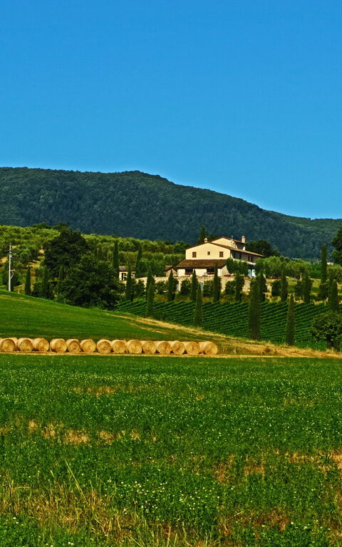 Villa Le Buche: Scenic View
