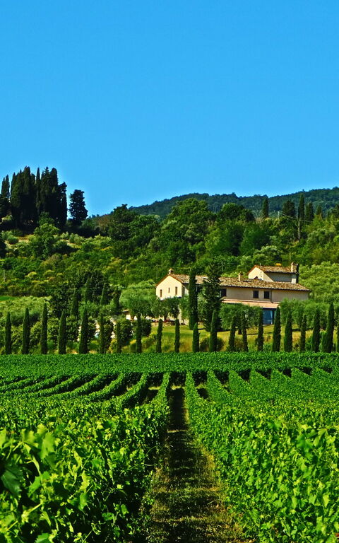 Villa Le Buche: Scenic View