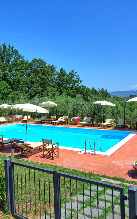 Nicola: Outdoor, Pool