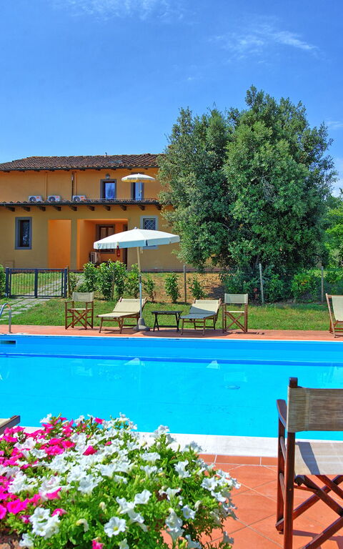 Nicola: Outdoor, Pool, Summer