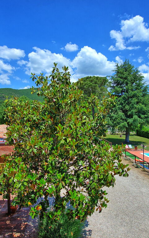 Zeffiro: Scenic View