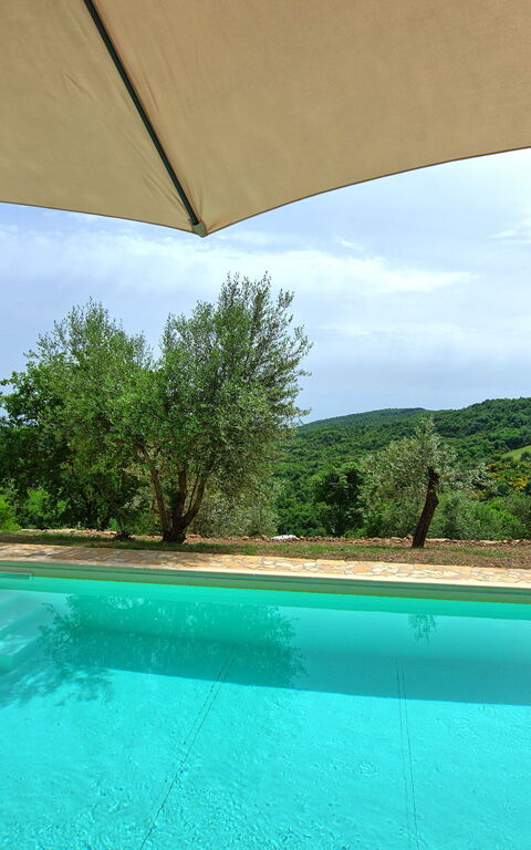 Villa Collina: Pool