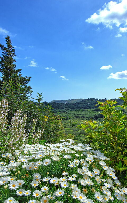 Villa Vicilla: Outdoor