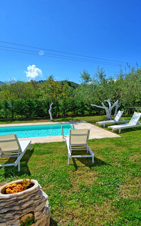 Villa Elaia: Garden, Outdoor, Pool