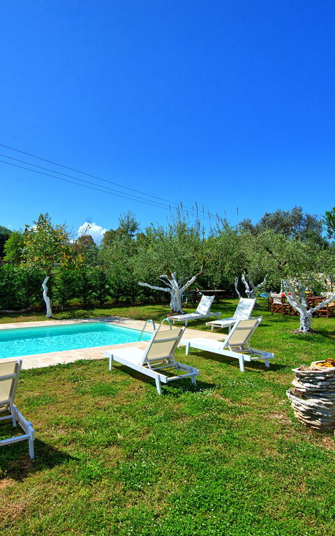 Villa Elaia: Garden, Outdoor, Pool