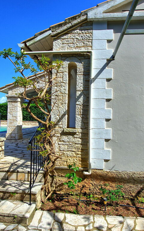 Villa Dimitris: Garden, Outdoor