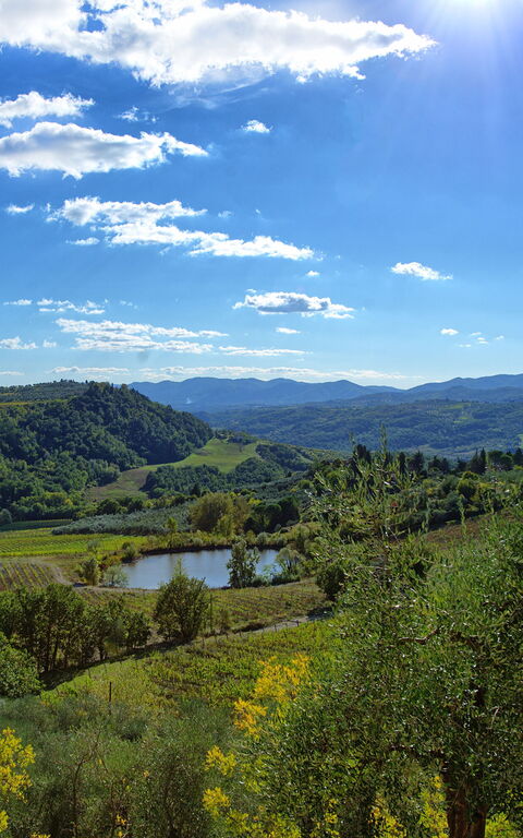 San Guido: Outdoor, Scenic View