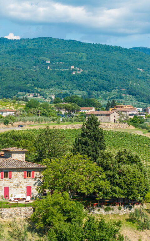 San Guido: Outdoor, Scenic View