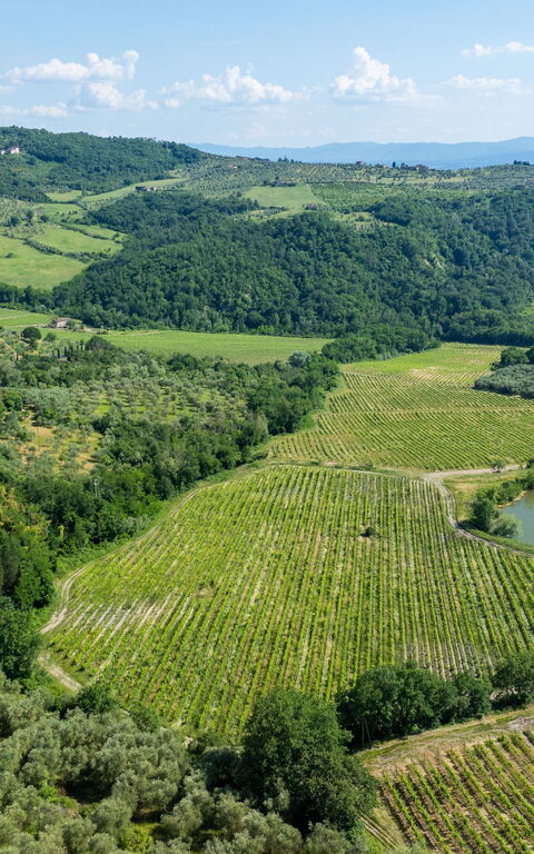 San Guido: Outdoor, Scenic View