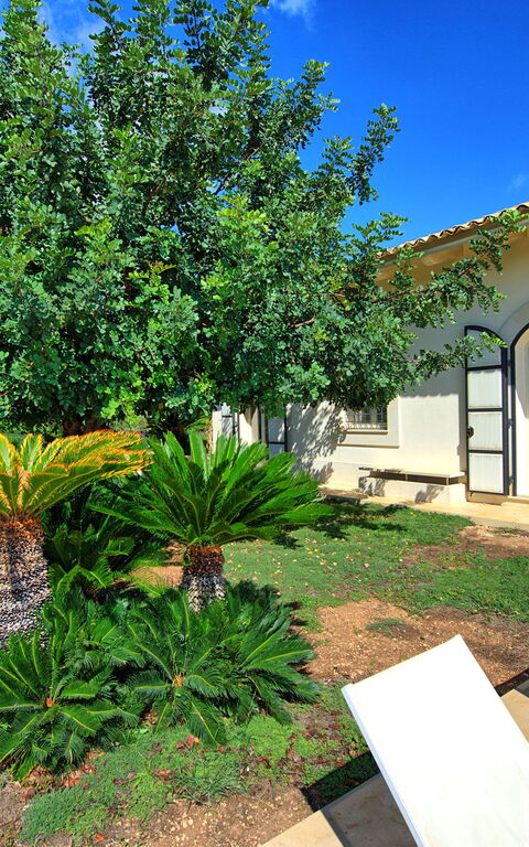 Tenuta Olearum: Garden, Outdoor, Summer