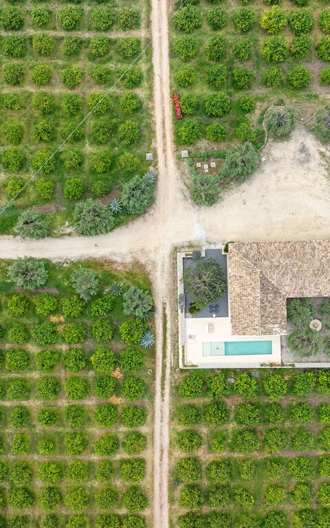 Tenuta Olearum: Scenic View