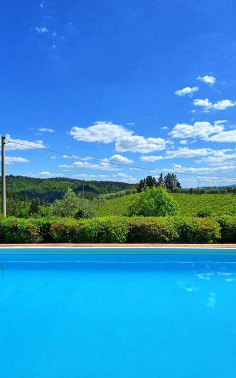 Villa Paneretta: Pool, Summer