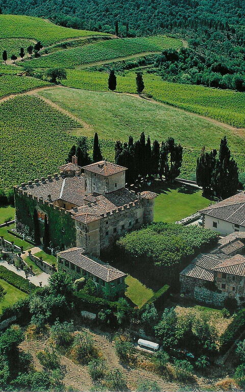 Villa Paneretta: Outdoor