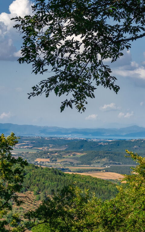 Villa Lucarella: Outdoor