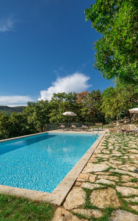 Villa Lucarella: Garden, Outdoor, Pool
