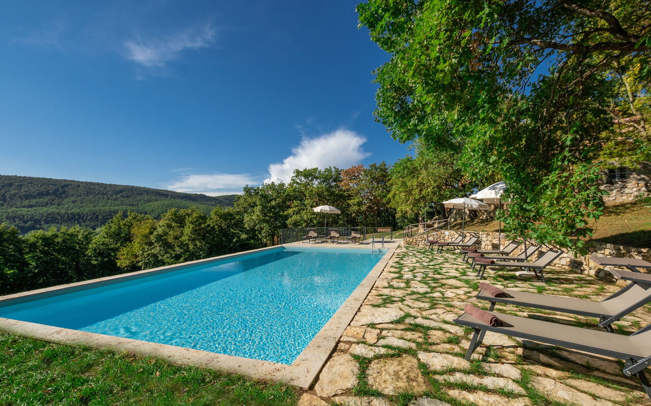 Villa Lucarella: Garden, Outdoor, Pool