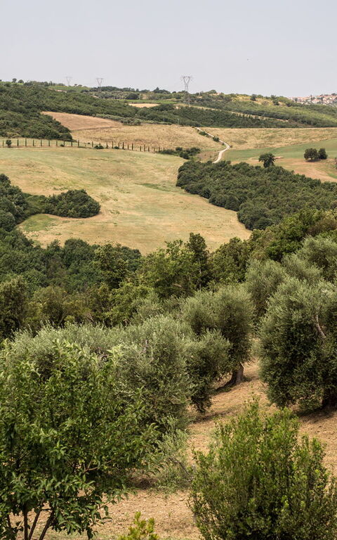 Villa Chiugi: Scenic View