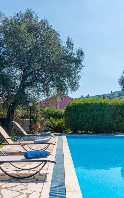 Votana House: Garden, Outdoor, Pool, Summer