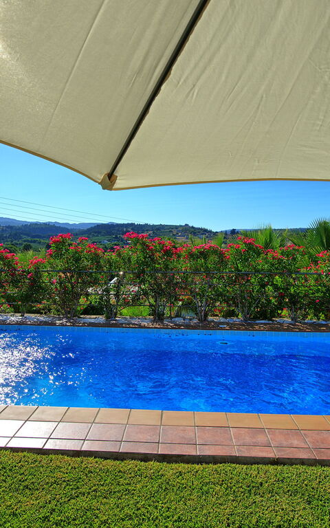 Villa Politini: Pool