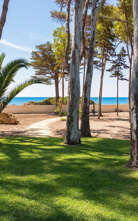 Marinella Punta Milocca: Garden, Outdoor