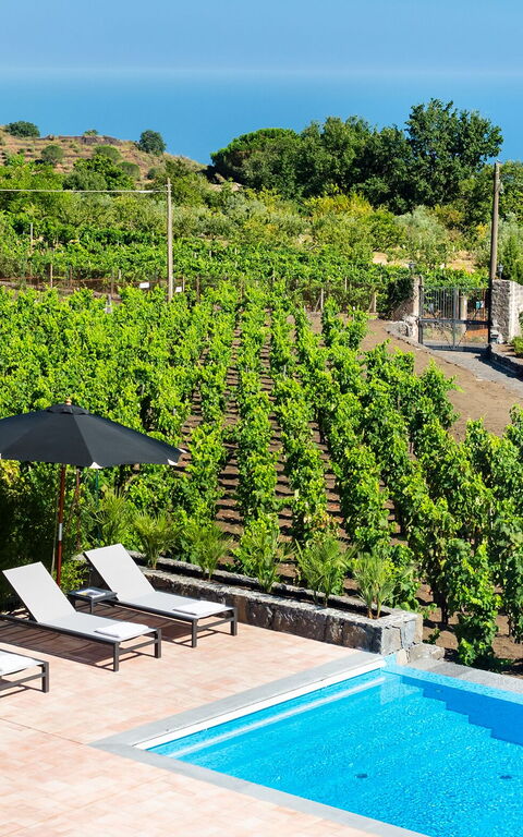 Villa Palmento Rosa: Pool