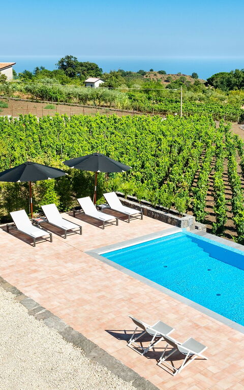 Villa Palmento Rosa: Outdoor, Pool