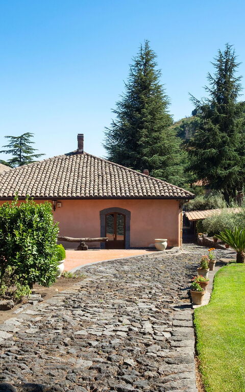 Villa Palmento Rosa: Garden, Outdoor