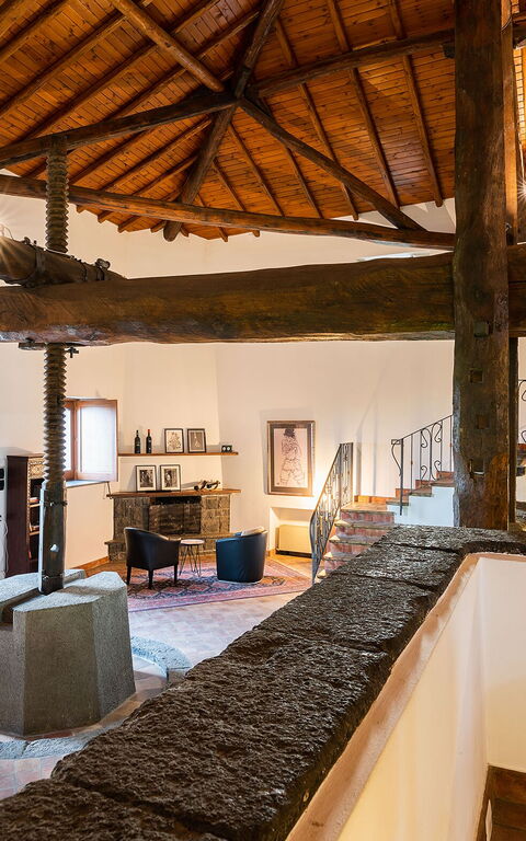 Villa Palmento Rosa: Living Room