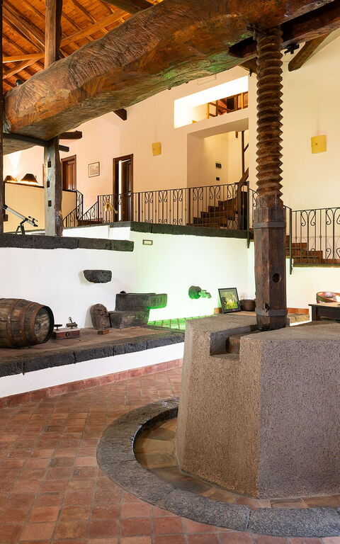 Villa Palmento Rosa: Living Room