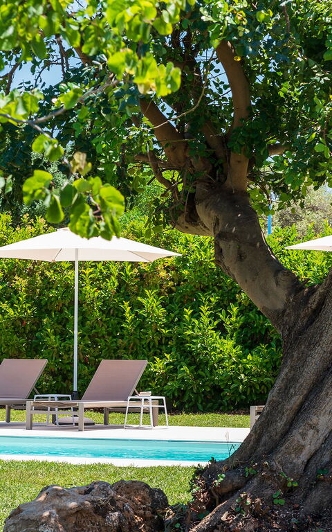 Villa Girasole: Outdoor