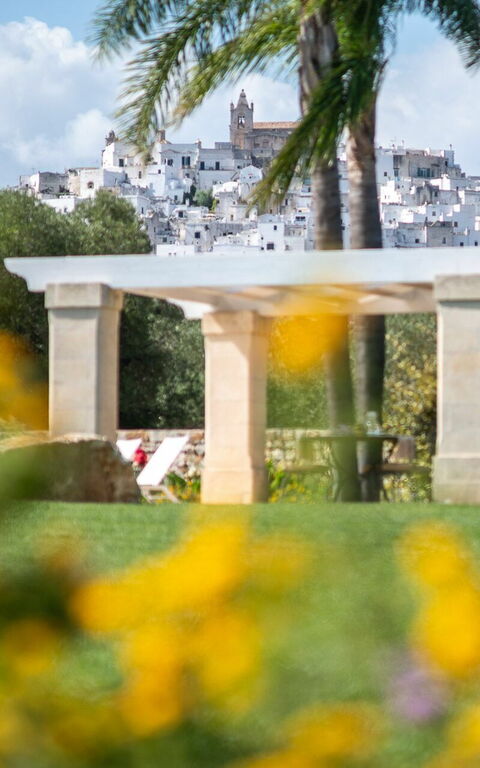 Villa Bellavista: Garden, Outdoor, Scenic View