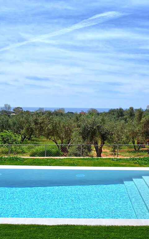 Villa Olivum: Outdoor, Pool, Summer