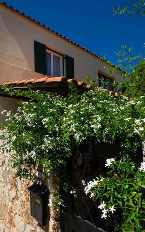 Villa Giani: Building Exterior, Garden